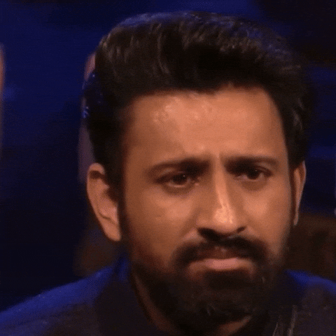 Lies Understanding GIF