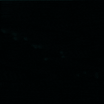 Dental Implant GIF by cowellmedi