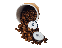 Blackwater Coffee Co. Sticker