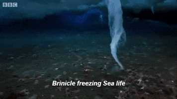umam brinicle GIF