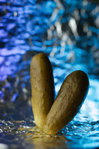 Rave Pickle GIF by Andrea Michelle Photography