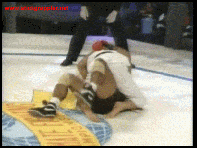 giphy-downsized.gif