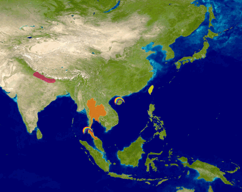 asia