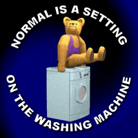 Washing Machine Spin Cycle GIF