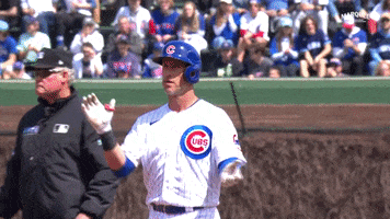 Cubs Gomes GIF by Marquee Sports Network