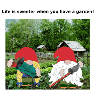 Garden Gnome GIF