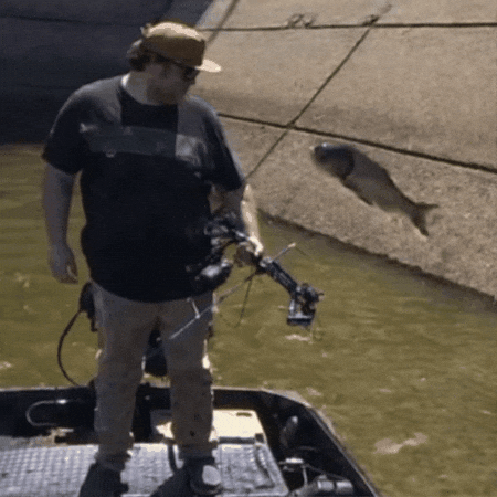 Floating Flying Fish GIF