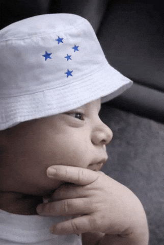 Cruzeiro Omaiordeminas GIF