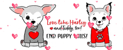 GIF by Harley's Dream