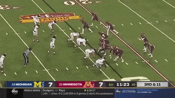 Michigan Football GIF