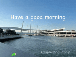 Have A Good Morning GIF