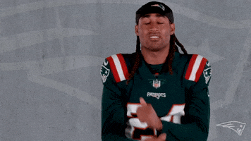 Black Panther Reaction GIF by New England Patriots