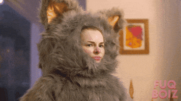 Cat What GIF