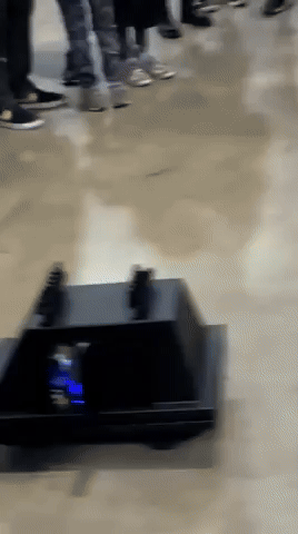 Animated GIF