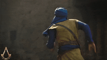 Got You What GIF by Assassin's Creed