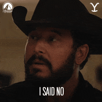 Paramount Network No GIF by Yellowstone