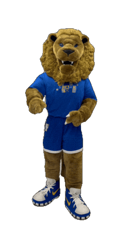 New York Hofstrau Sticker by Hofstra University