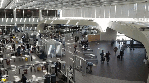 Orlando Airport Travel GIF by Orlando International Airport (MCO) - Find & Share on GIPHY