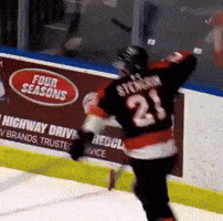 Whl GIF