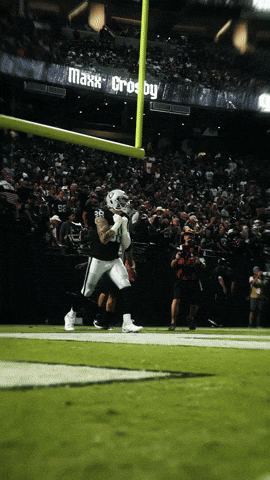 Nfl Raiders GIF