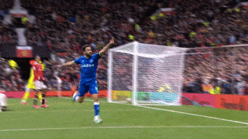 Celebrate Andros Townsend GIF by Everton Football Club