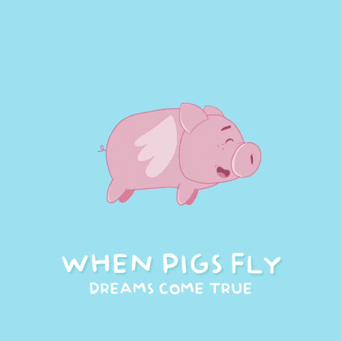 I Believe Flying Pig GIF by PositivelyPigasus