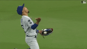 Lets Go Reaction GIF by MLB