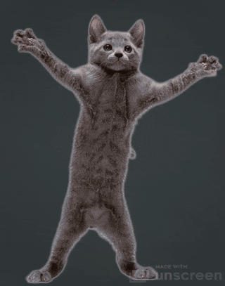 unscreen cat lets go hell yeah funny cat GIF