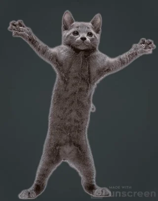 Celebration animation