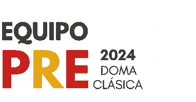 Ermelo Sticker by ANCCE Oficial