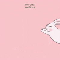 Chinese New Year Bunny GIF by Oh Cha Matcha