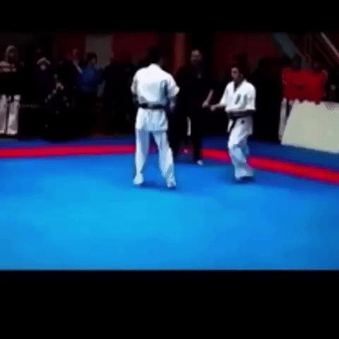 martialarts GIF by The Videobook
