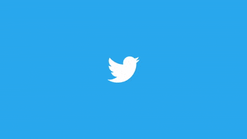 Twitter GIF