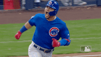 chicago cubs 2019 baseball GIF by MLB