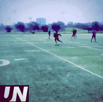 49Ers Niners GIF by The Undroppables