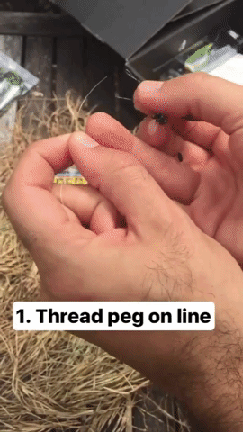 brettf90gmailcom  GIF