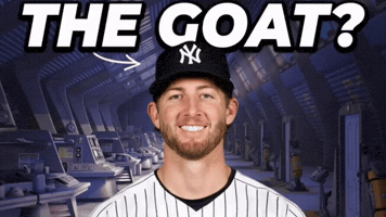 New York Yankees Baseball GIF