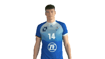 Volleyball Bundesliga Sticker by Vfb Friedrichshafen Volleyball