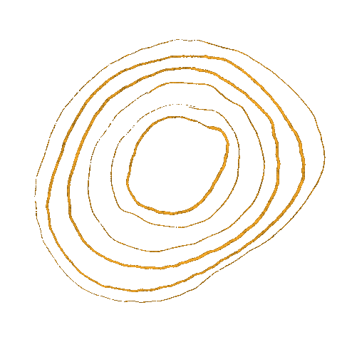 Pastel Circle Sticker