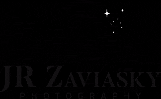 zaviasky horse portraits jrzaviaskyphotography jrzaviasky GIF