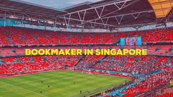 Online Betting Singapore GIF