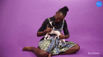 Black Panther Puppy GIF by BuzzFeed