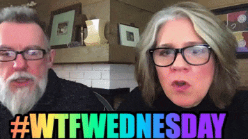 Hump Day Wtf GIF by Aurora Consulting: Business, Insurance, Financing Experts