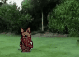 Animated GIF