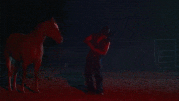 Sexy Cowboy GIF by Darius Martin