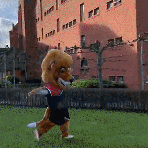 GIF by De Montfort University