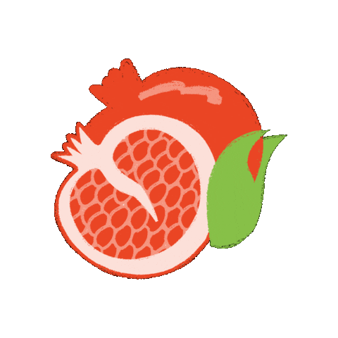 Obrador Florida Sticker