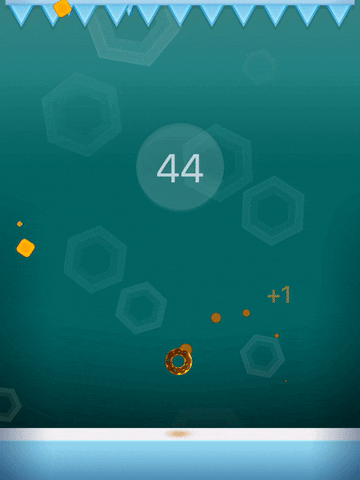 nischalsrinivasreddy  GIF