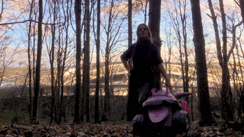 Stadium GIF