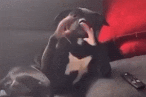 If You Grab Me GIF